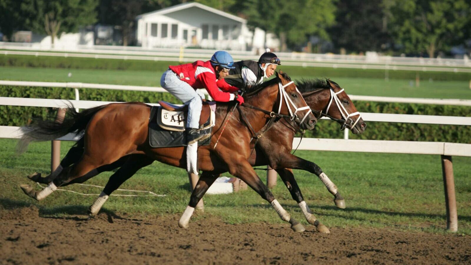 horse race neck and neck