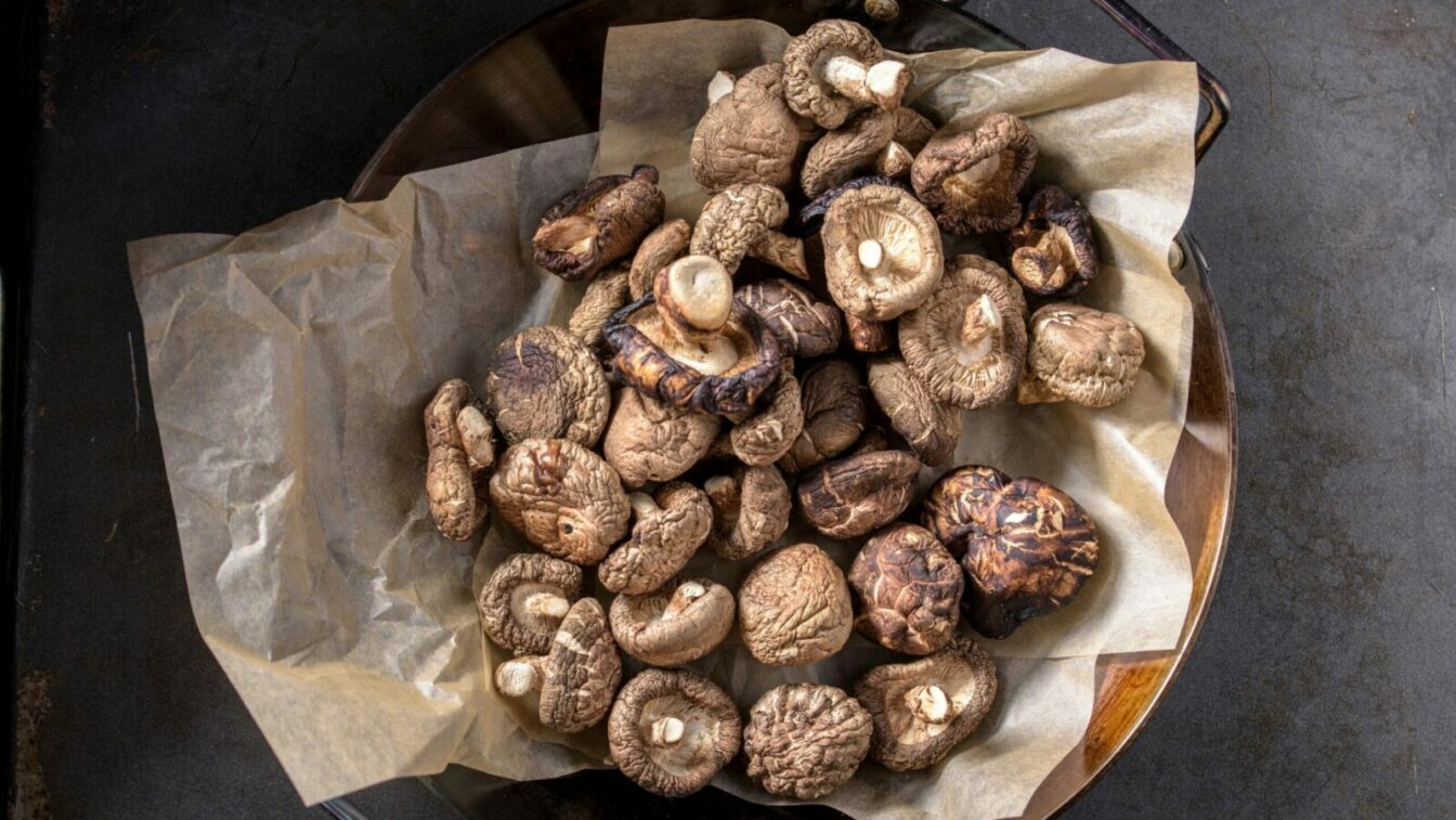 shiitake mushrooms