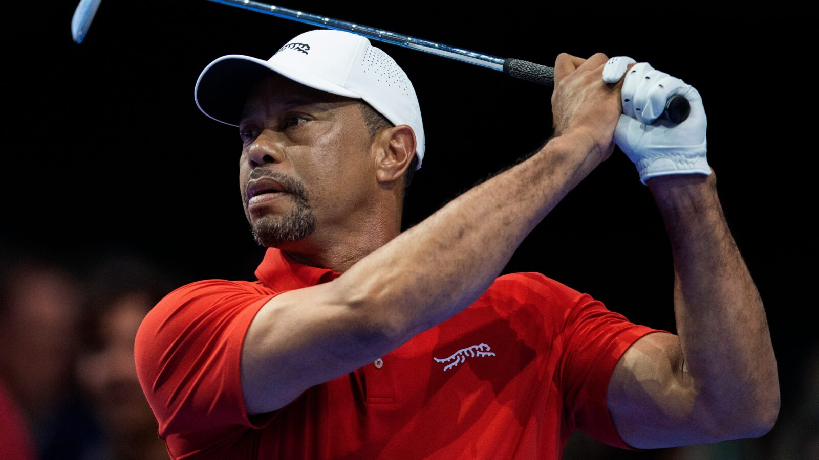 tiger woods